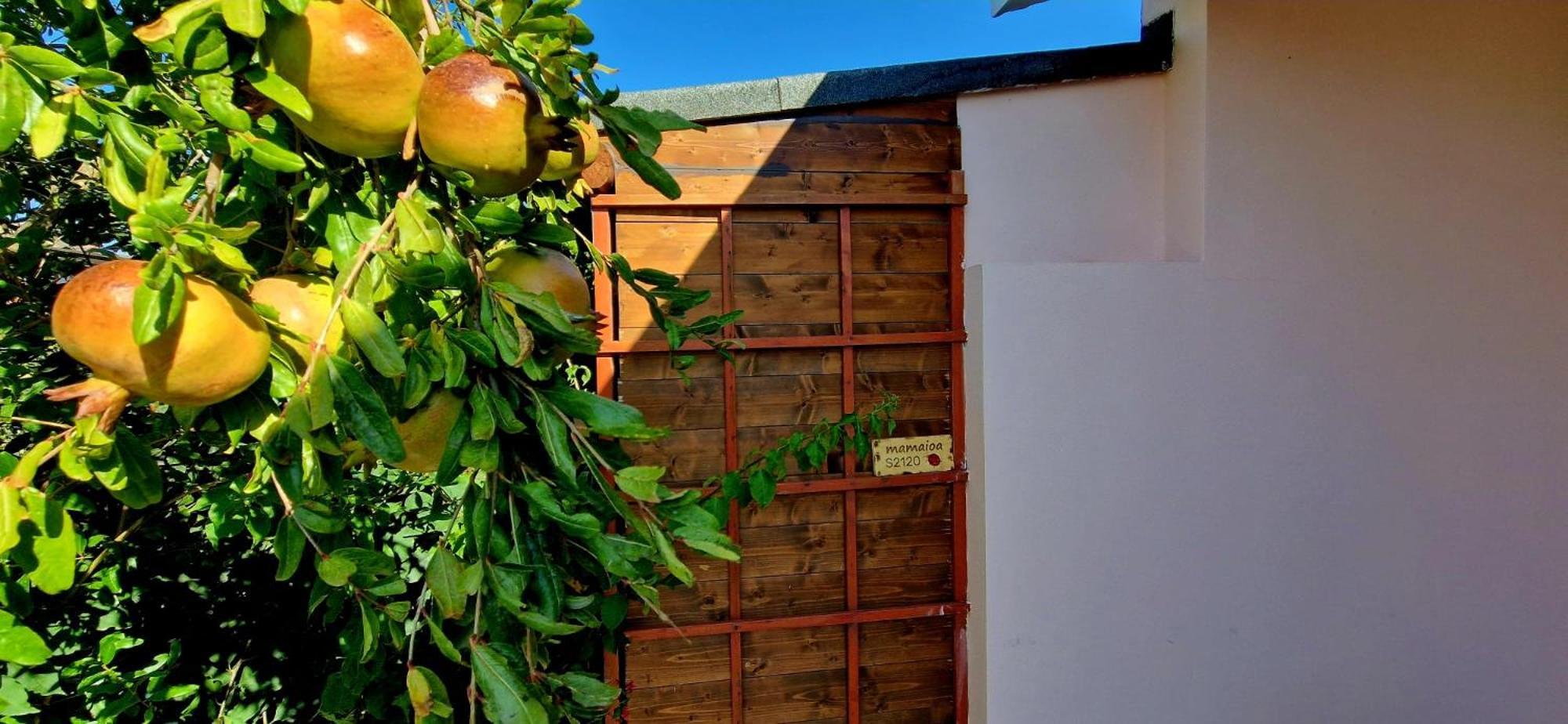 Casa Vacanza Mamaioa SantʼAnna Arresi Exteriér fotografie